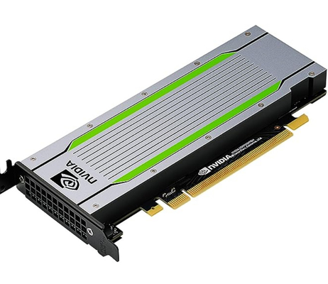NVIDIA T4 NV 16 GB Tensor Core GPU Do Inferencji AI Na stokach z dobrą ceną